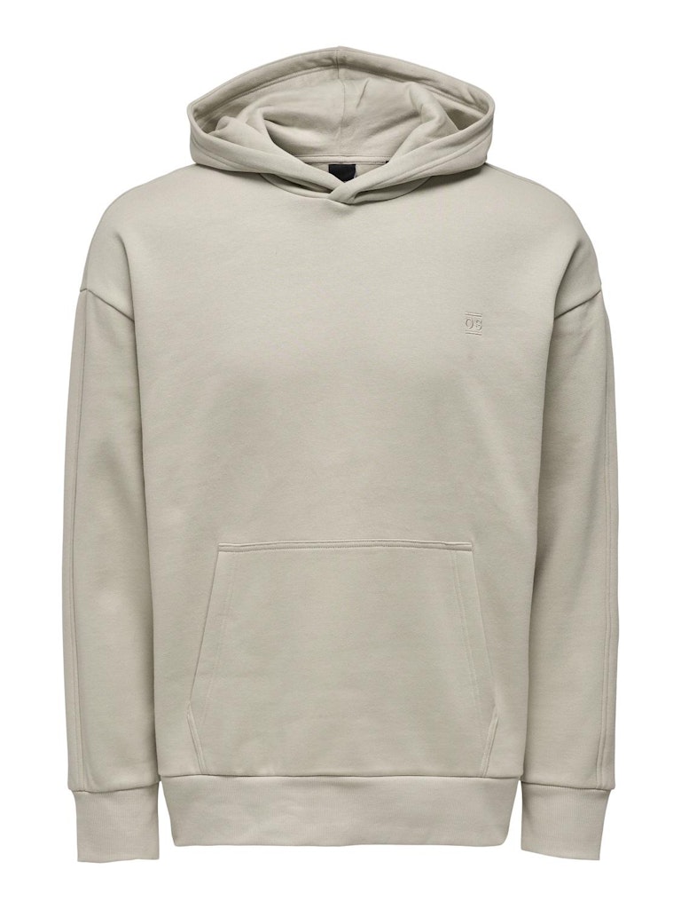 ONSDAN LIFE RLX HEAVY SWEAT HOODIE NOOS