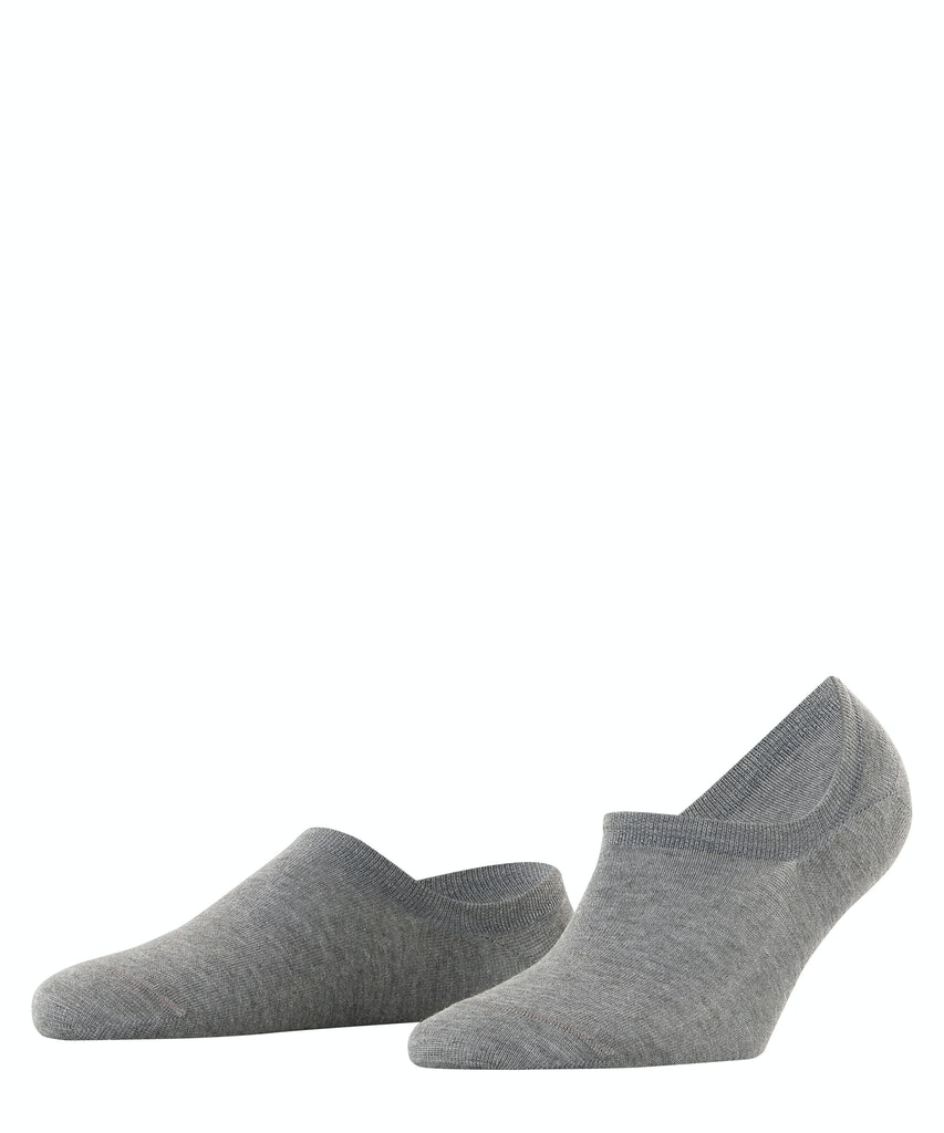 Grau (3216)